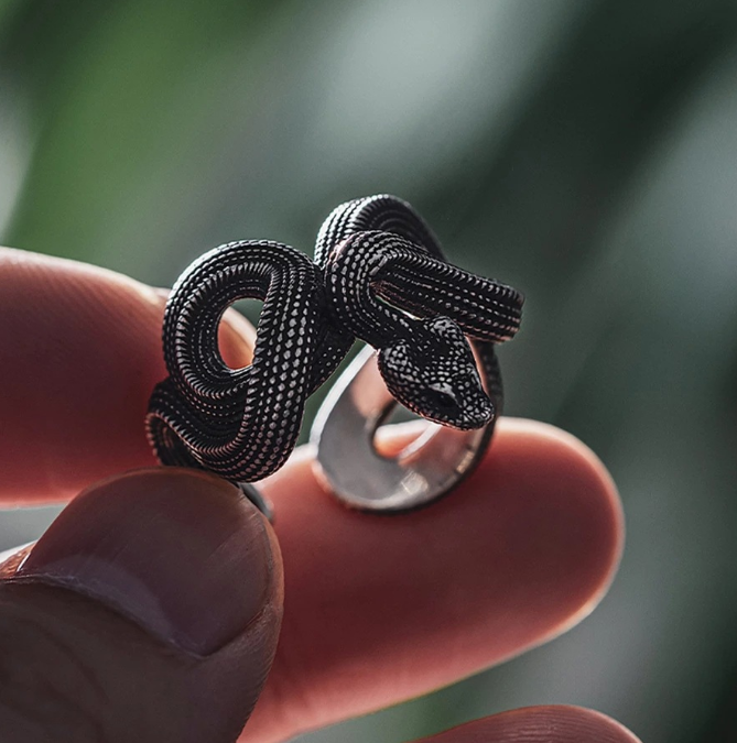 Python Ring